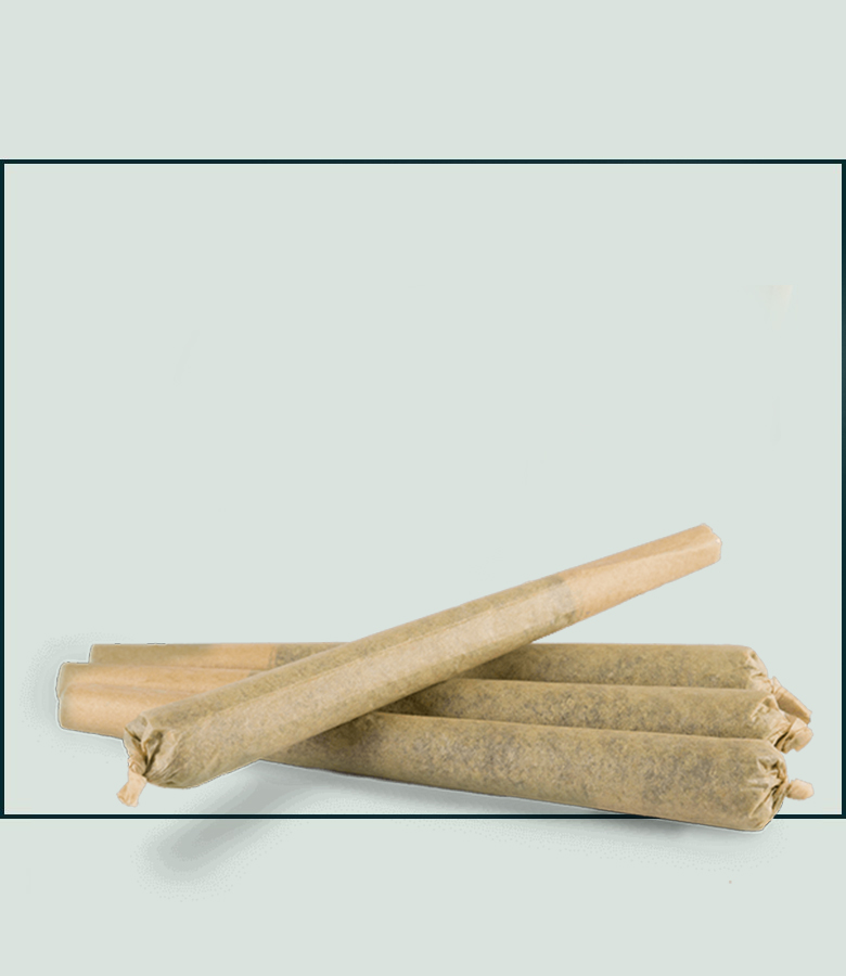 cbd joints preroll hemp